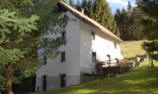 House needing renovation + 8785m2 land Cepovan G. Click here for more details. House needing renovation + 8785m2 land Cepovan G. Click here for more details.